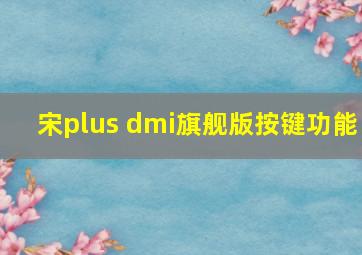 宋plus dmi旗舰版按键功能